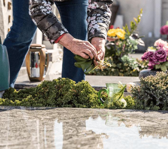 enlever-les-mauvaises-herbes-thiebaut-cie-chem-dath-lessines